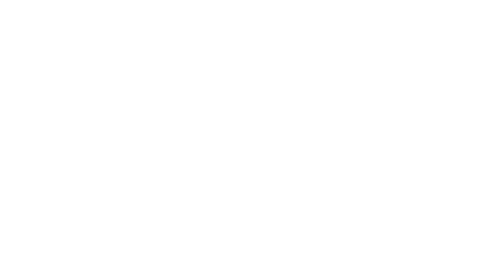 Switch Online Marketing