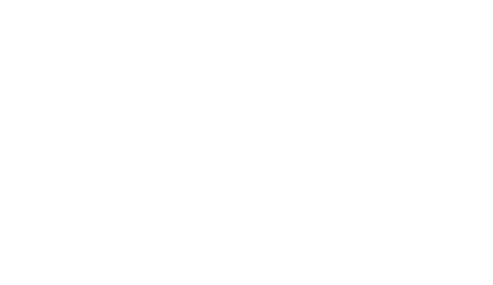 Translavic